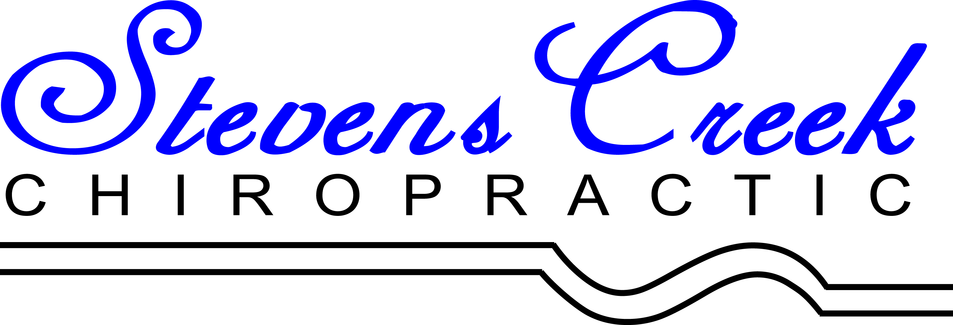 Chiropractic clinic logo - professional spine care services