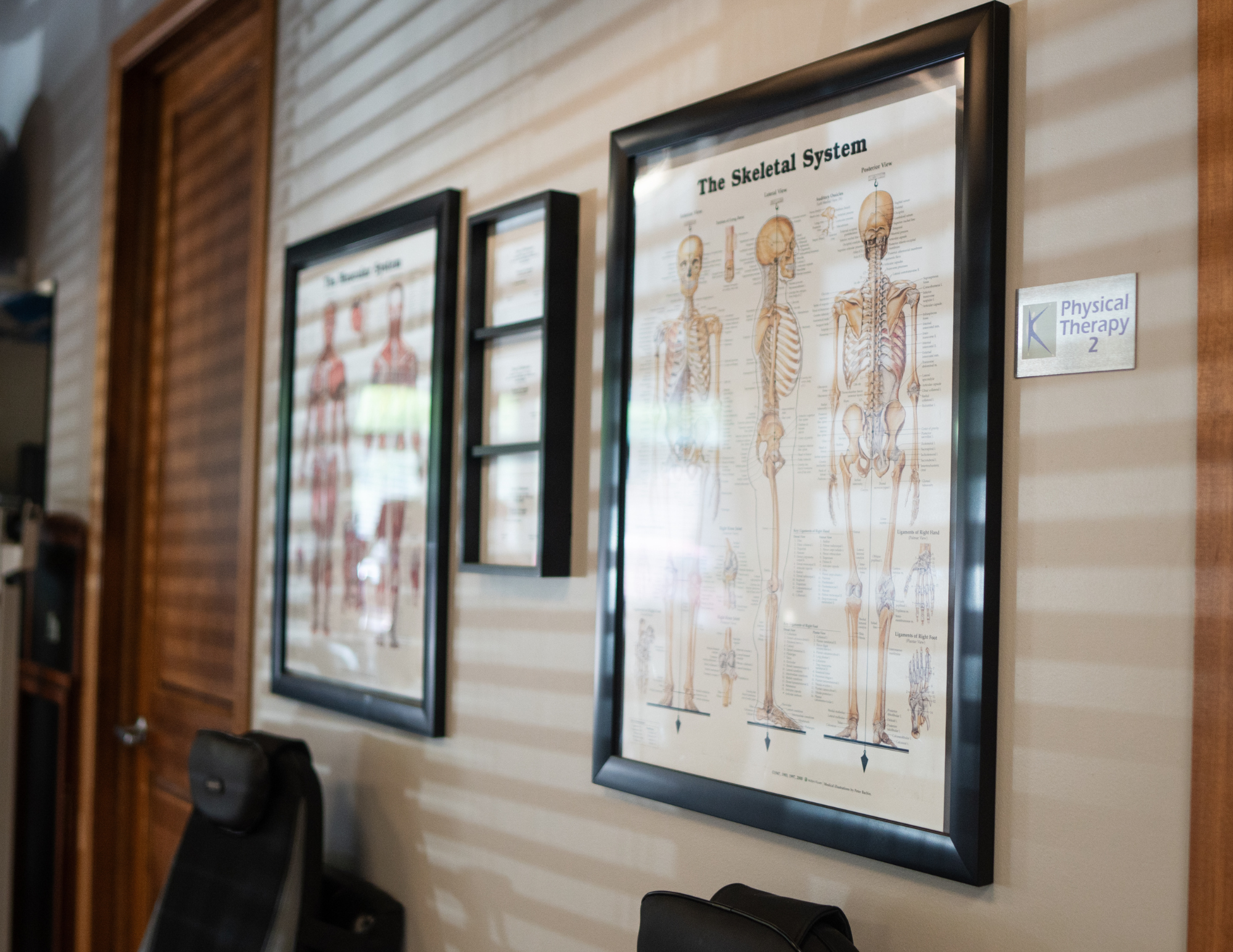 Chiropractic services focused on spinal health and natural pain relief