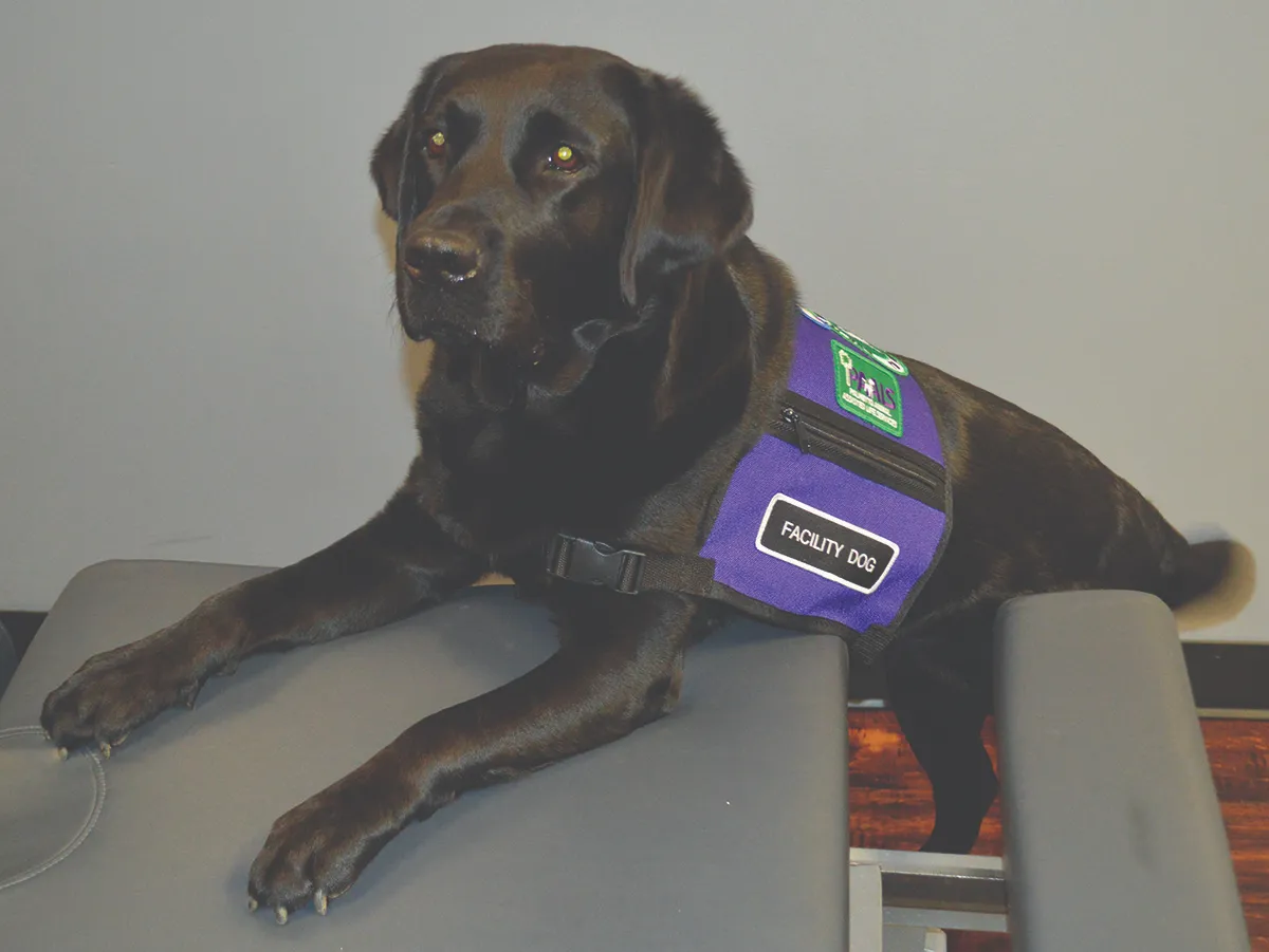 Team Member