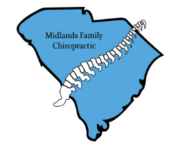 Chiropractic clinic logo - professional spine care services