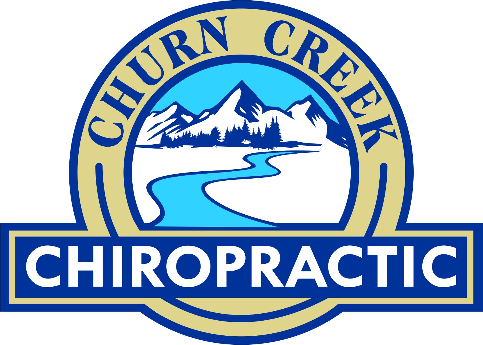 Chiropractic clinic logo - professional spine care services