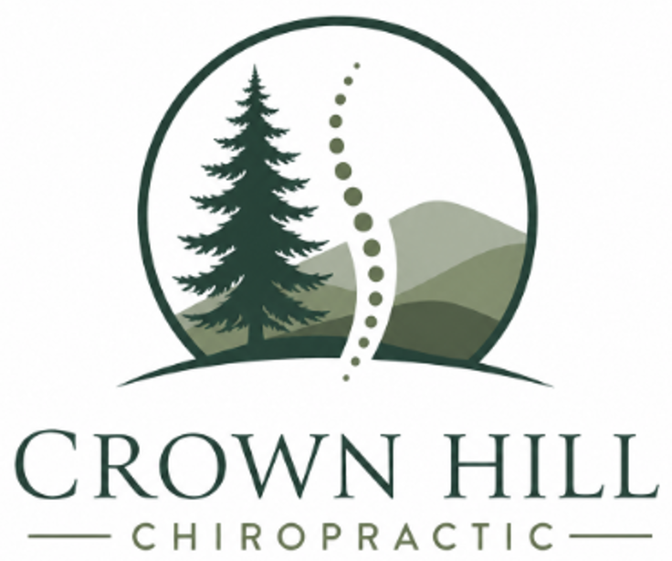 Chiropractic clinic logo - professional spine care services