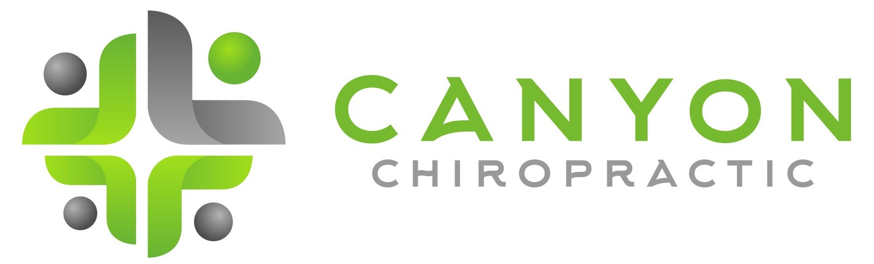 Chiropractic clinic logo - professional spine care services