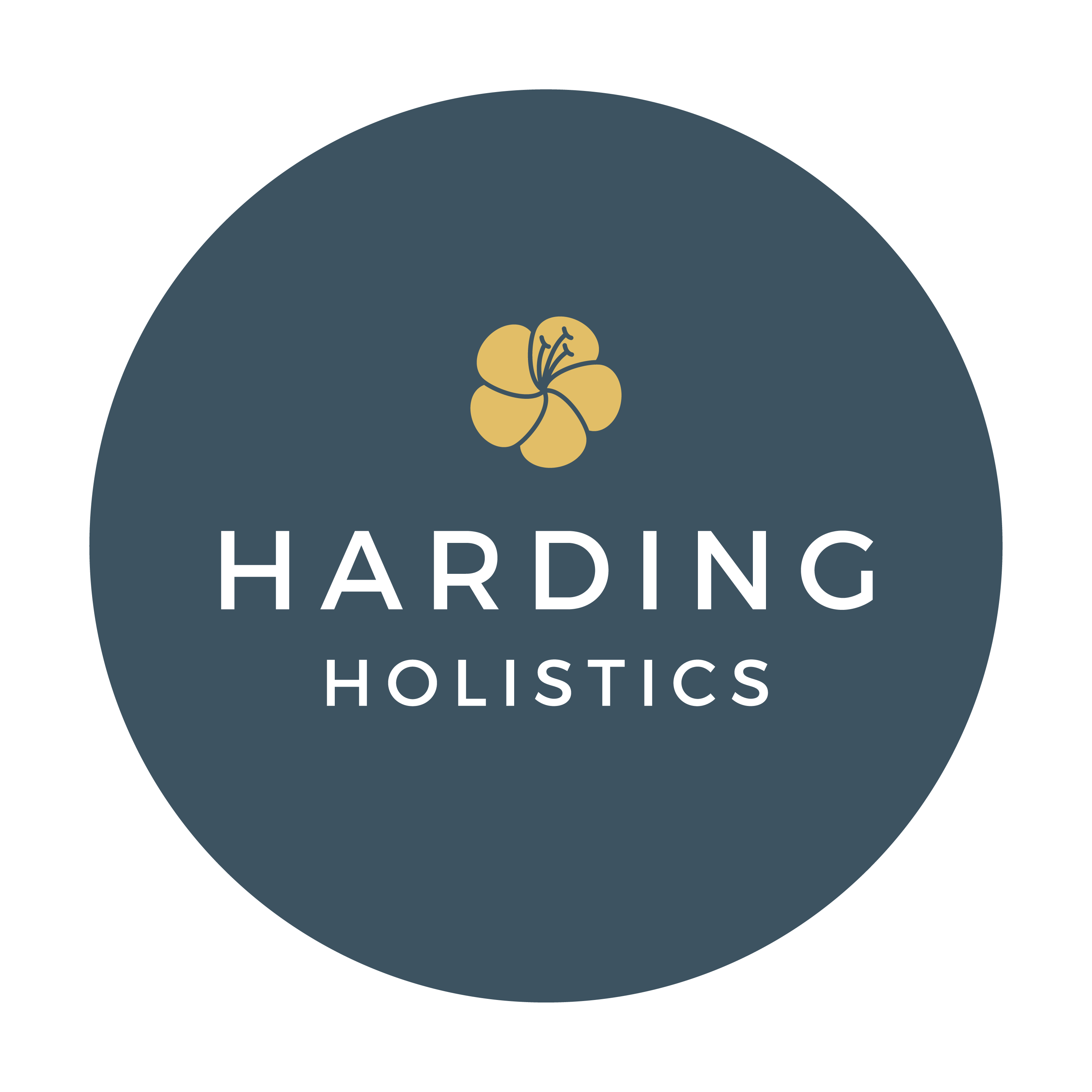 Chiropractic clinic logo - professional spine care services