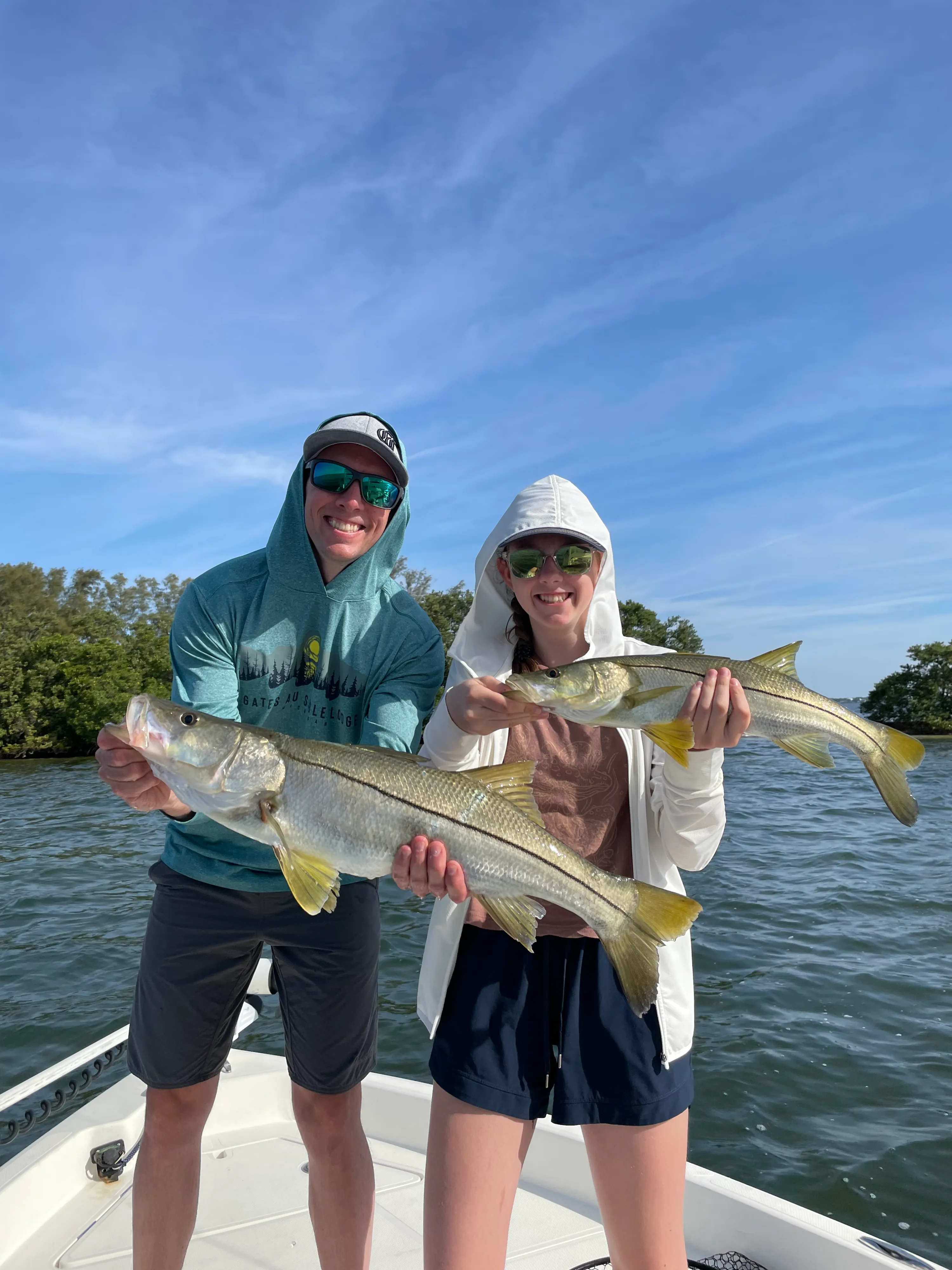 Service symptoms image