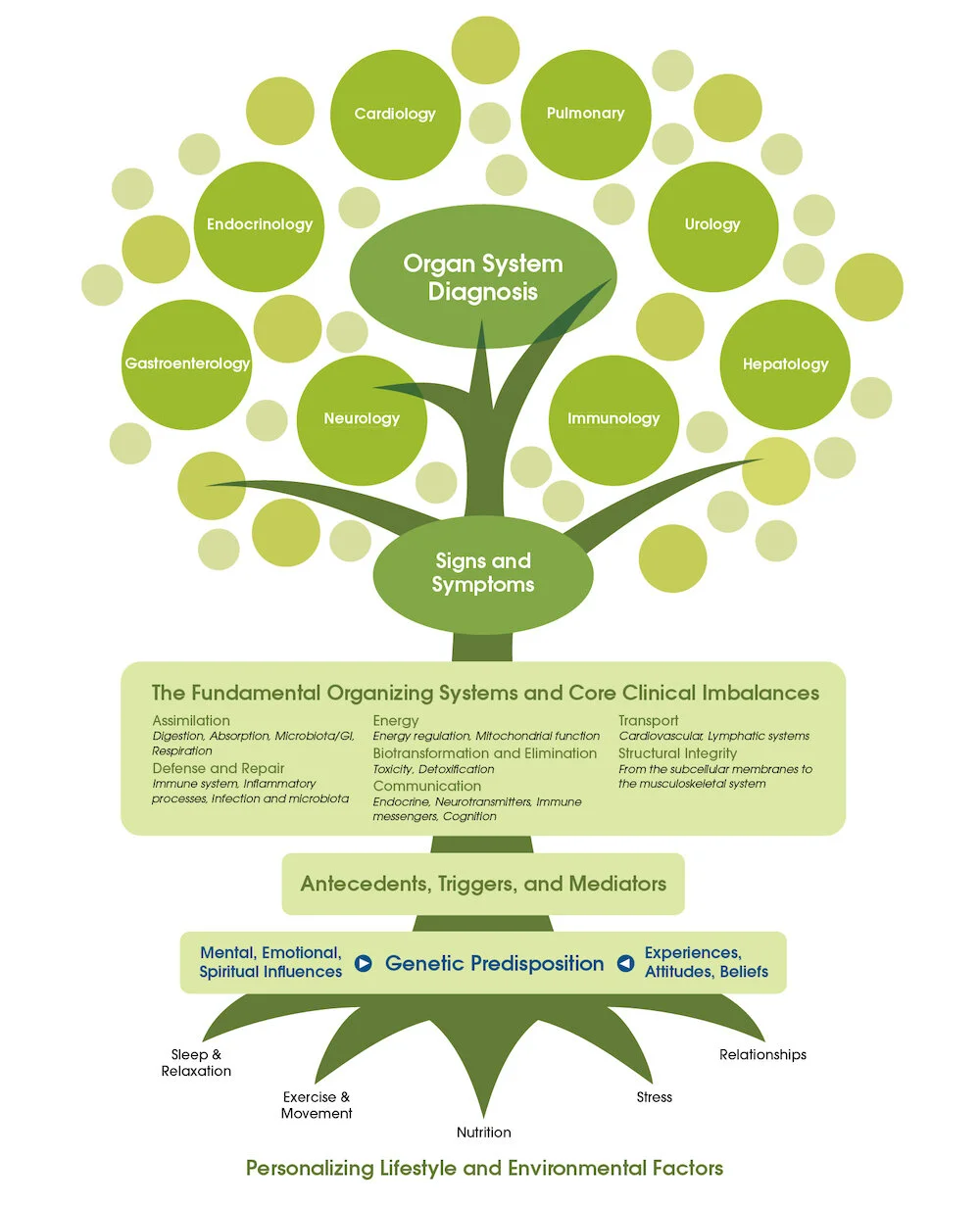 Functional medicine tree