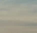 Chiropractic Physicians