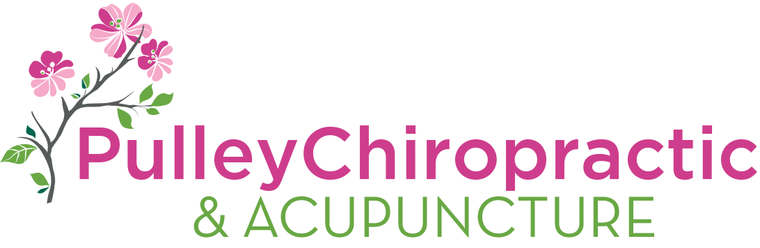 Chiropractic clinic logo - professional spine care services
