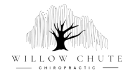 Chiropractic clinic logo - professional spine care services