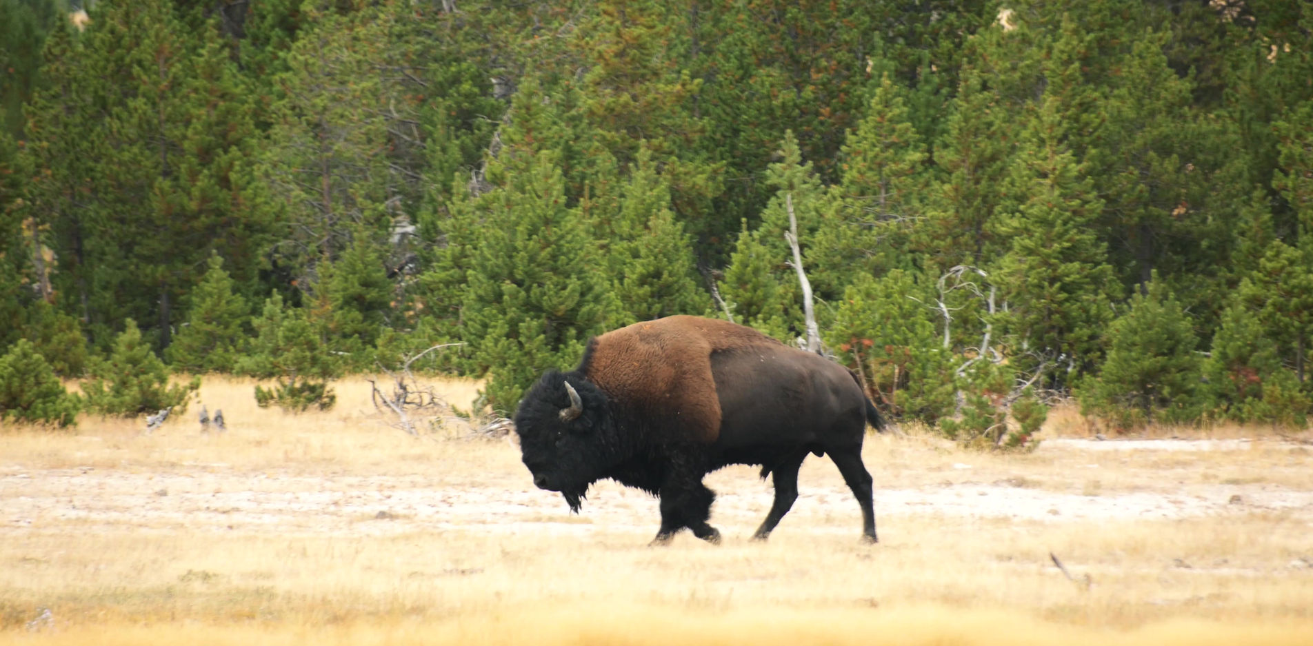 Healthcare professional consulting with patient