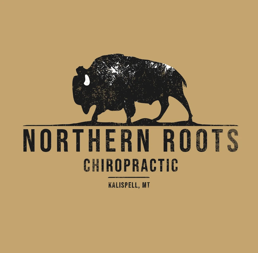 Chiropractic clinic logo - professional spine care services
