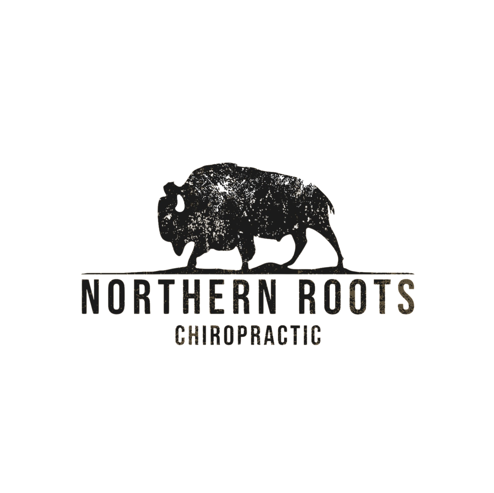 Chiropractic clinic logo - professional spine care services