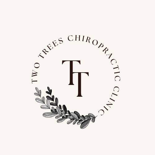 Chiropractic clinic logo - professional spine care services