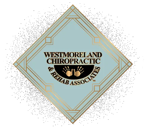 Chiropractic clinic logo - professional spine care services