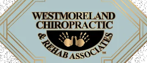 Chiropractic clinic logo - professional spine care services