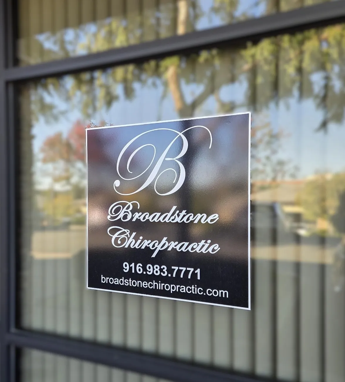 Chiropractic care - professional spine health and wellness treatment