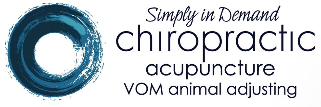 Chiropractic clinic logo - professional spine care services