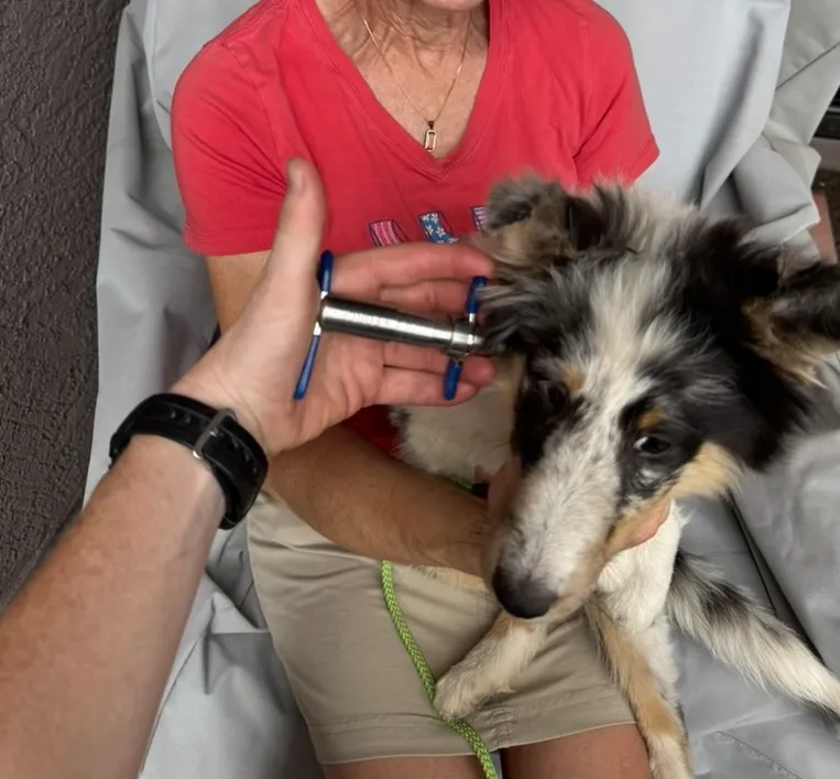 Service symptoms image