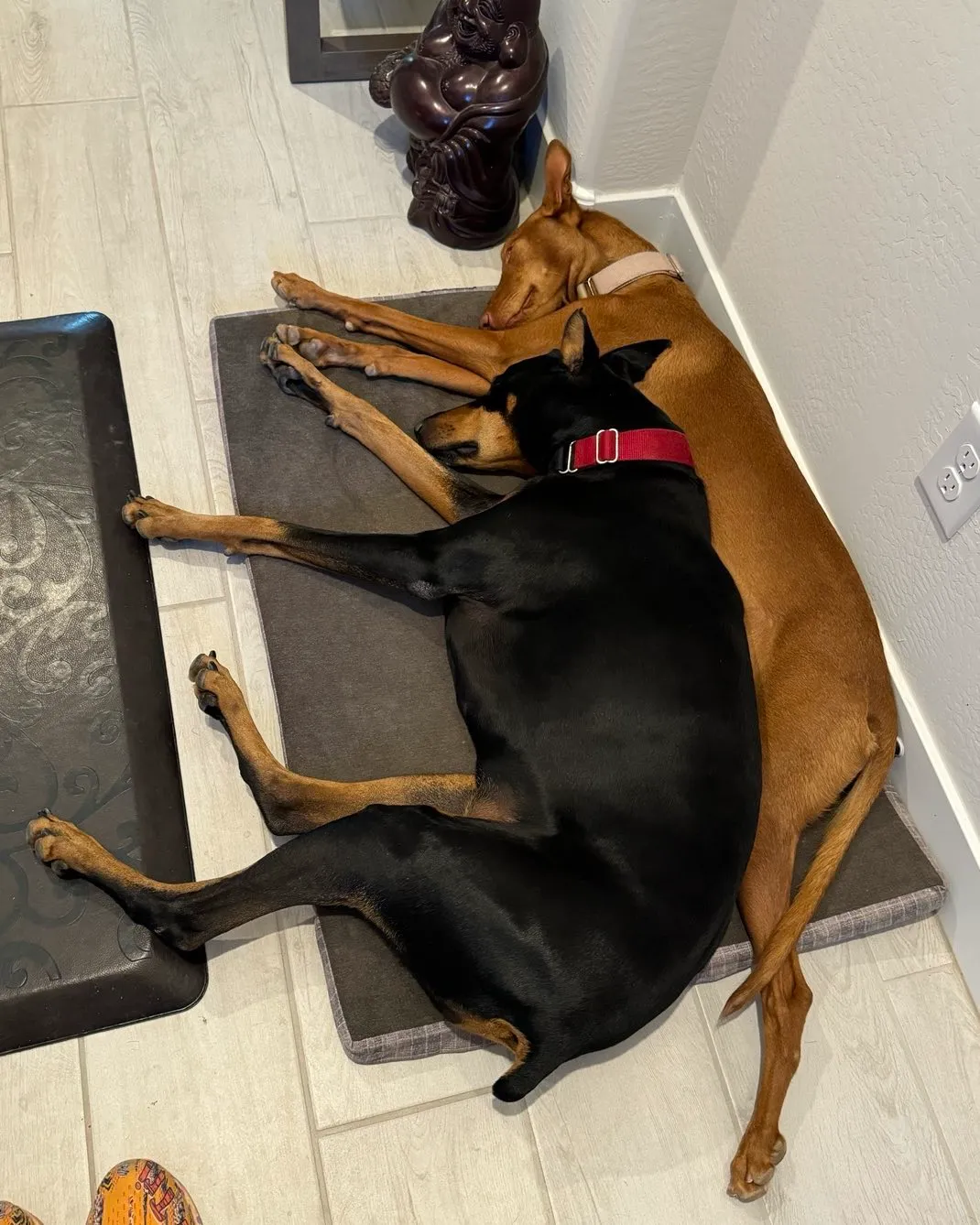 Healthcare professional consulting with patient