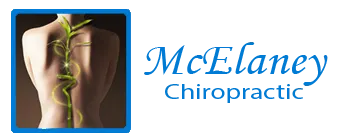 Dr. Charles McElaney – Chiropractor
