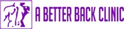 Chiropractic clinic logo - professional spine care services