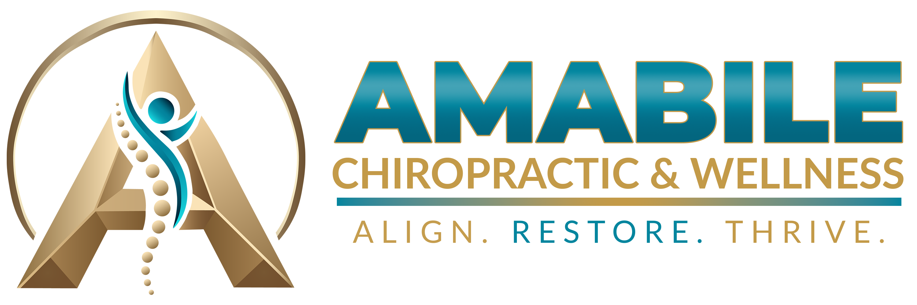 Chiropractic clinic logo - professional spine care services